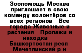 Зоопомощь.Москва приглашает в свою команду волонтёров со всех регионов - Все города Животные и растения » Пропажи и находки   . Башкортостан респ.,Мечетлинский р-н